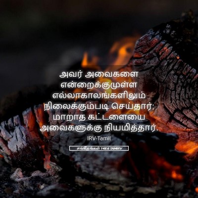 Picture 05 - சங்கீதங்கள் 148:6 TAMIRV - அவர் அவைகளை - Bible Verse Picture
