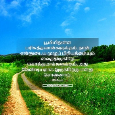Picture 05 - சங்கீதங்கள் 16:3 TAMIRV - பூமியிலுள்ள - Bible Verse Picture
