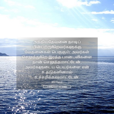 Picture 05 - சங்கீதங்கள் 16:4 TAMIRV - அந்நியதேவனை - Bible Verse Picture