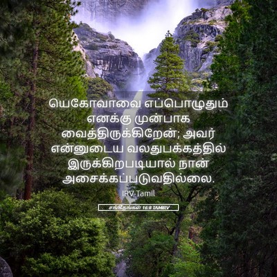 Picture 05 - சங்கீதங்கள் 16:8 TAMIRV - யெகோவாவை - Bible Verse Picture
