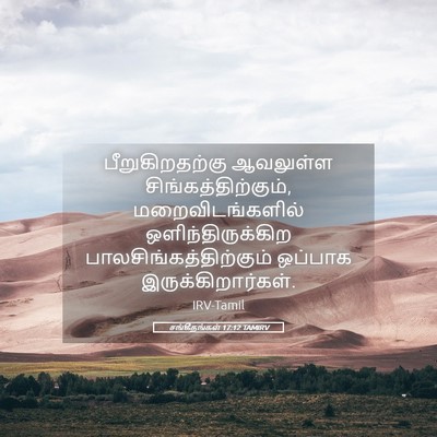 Picture 05 - சங்கீதங்கள் 17:12 TAMIRV - பீறுகிறதற்கு - Bible Verse Picture