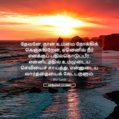 Picture 05 - சங்கீதங்கள் 17:6 TAMIRV - தேவனே, நான் உம்மை - Bible Verse Picture