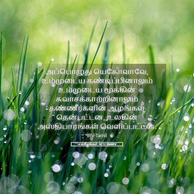 Picture 05 - சங்கீதங்கள் 18:15 TAMIRV - அப்பொழுது - Bible Verse Picture