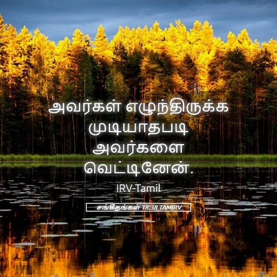 Picture 05 - சங்கீதங்கள் 18:38 TAMIRV - அவர்கள் - Bible Verse Picture