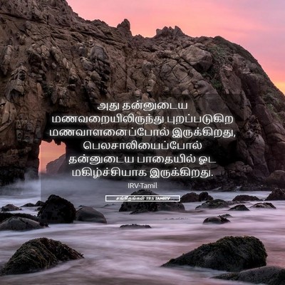 Picture 05 - சங்கீதங்கள் 19:5 TAMIRV - அது தன்னுடைய - Bible Verse Picture