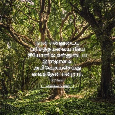 Picture 05 - சங்கீதங்கள் 2:6 TAMIRV - நான் என்னுடைய - Bible Verse Picture
