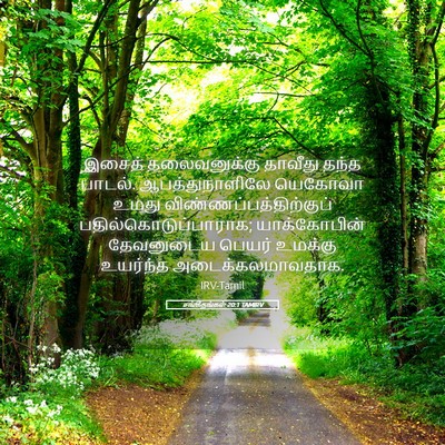 Picture 05 - சங்கீதங்கள் 20:1 TAMIRV - இசைத் தலைவனுக்கு - Bible Verse Picture