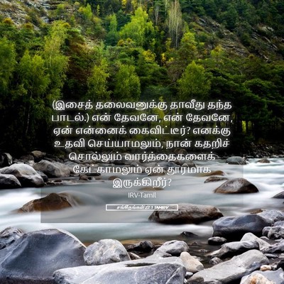 Picture 05 - சங்கீதங்கள் 22:1 TAMIRV - (இசைத் தலைவனுக்கு - Bible Verse Picture