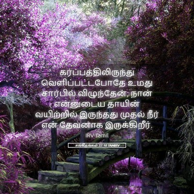 Picture 05 - சங்கீதங்கள் 22:10 TAMIRV -  - Bible Verse Picture