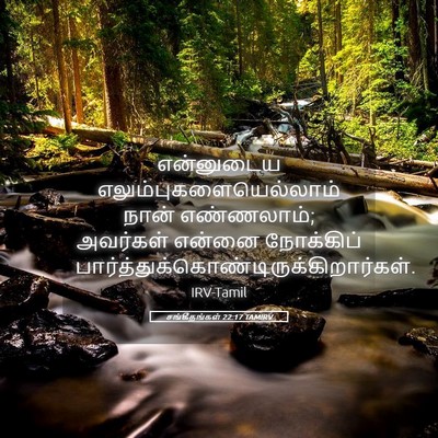 Picture 05 - சங்கீதங்கள் 22:17 TAMIRV - என்னுடைய - Bible Verse Picture