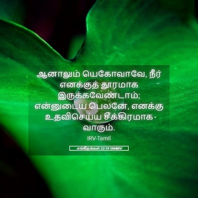 Picture 05 - சங்கீதங்கள் 22:19 TAMIRV - ஆனாலும் யெகோவாவே, - Bible Verse Picture