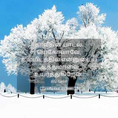 Picture 05 - சங்கீதங்கள் 25:1 TAMIRV - தாவீதின் பாடல். - Bible Verse Picture