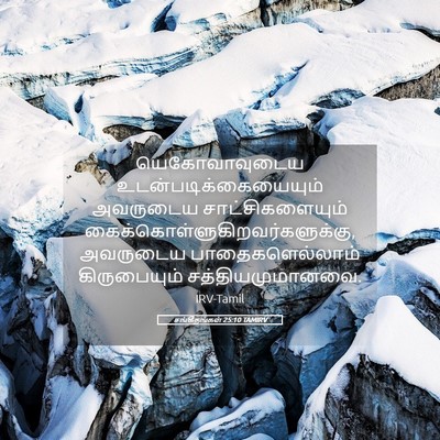 Picture 05 - சங்கீதங்கள் 25:10 TAMIRV - யெகோவாவுடைய - Bible Verse Picture