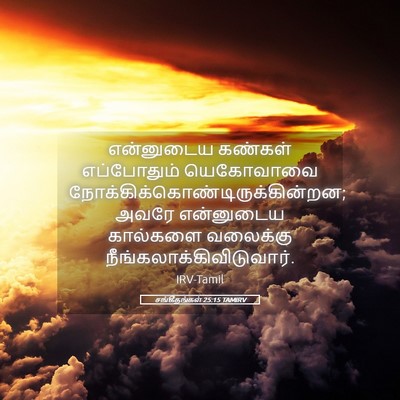 Picture 05 - சங்கீதங்கள் 25:15 TAMIRV - என்னுடைய கண்கள் - Bible Verse Picture