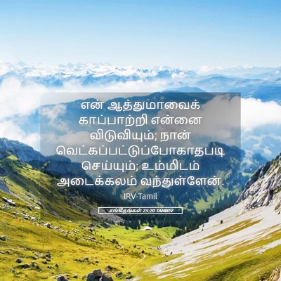 Picture 05 - சங்கீதங்கள் 25:20 TAMIRV - என் ஆத்துமாவைக் - Bible Verse Picture