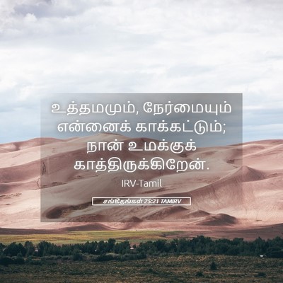 Picture 05 - சங்கீதங்கள் 25:21 TAMIRV - உத்தமமும், - Bible Verse Picture