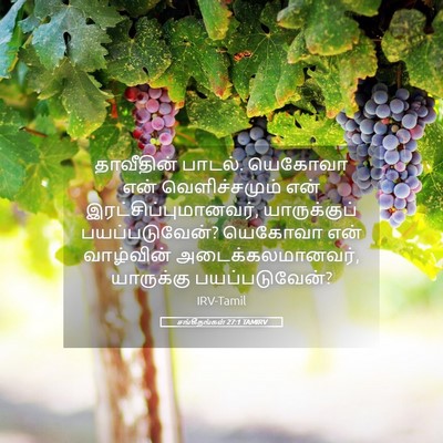Picture 05 - சங்கீதங்கள் 27:1 TAMIRV - தாவீதின் பாடல். - Bible Verse Picture