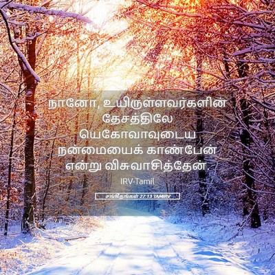 Picture 05 - சங்கீதங்கள் 27:13 TAMIRV - நானோ, - Bible Verse Picture