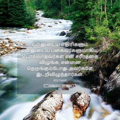 Picture 05 - சங்கீதங்கள் 27:2 TAMIRV - என்னுடைய - Bible Verse Picture