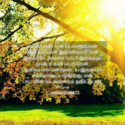 Picture 05 - சங்கீதங்கள் 28:7 TAMIRV - யெகோவா என் - Bible Verse Picture