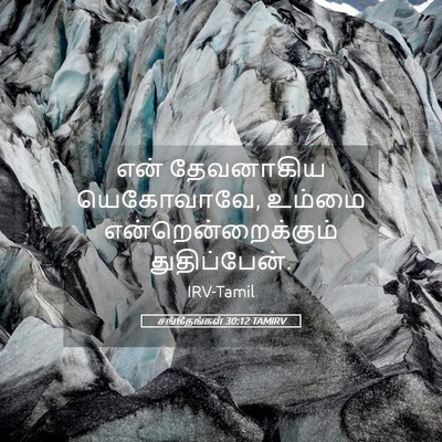 Picture 05 - சங்கீதங்கள் 30:12 TAMIRV - என் தேவனாகிய - Bible Verse Picture