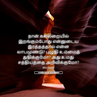 Picture 05 - சங்கீதங்கள் 30:8 TAMIRV - நான் கல்லறையில் - Bible Verse Picture