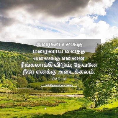 Picture 05 - சங்கீதங்கள் 31:4 TAMIRV - அவர்கள் எனக்கு - Bible Verse Picture