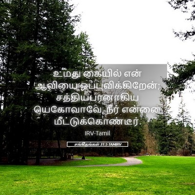 Picture 05 - சங்கீதங்கள் 31:5 TAMIRV - உமது கையில் என் - Bible Verse Picture