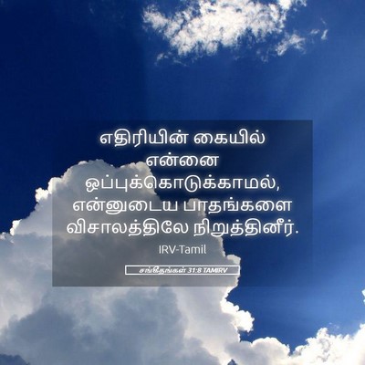 Picture 05 - சங்கீதங்கள் 31:8 TAMIRV - எதிரியின் கையில் - Bible Verse Picture