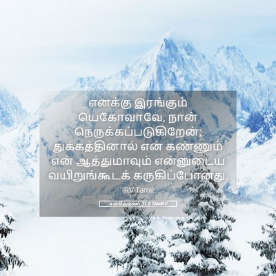 Picture 05 - சங்கீதங்கள் 31:9 TAMIRV - எனக்கு இரங்கும் - Bible Verse Picture