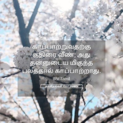 Picture 05 - சங்கீதங்கள் 33:17 TAMIRV - காப்பாற்றுவதற்கு - Bible Verse Picture