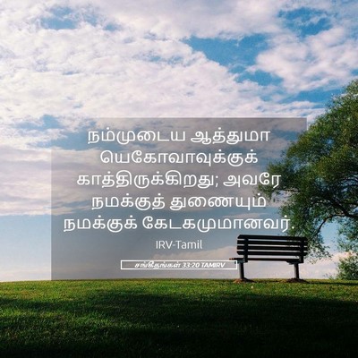 Picture 05 - சங்கீதங்கள் 33:20 TAMIRV - நம்முடைய ஆத்துமா - Bible Verse Picture