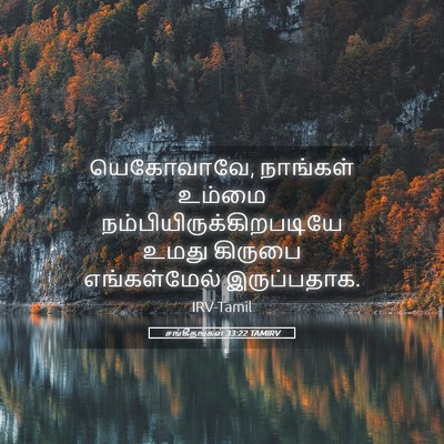 Picture 05 - சங்கீதங்கள் 33:22 TAMIRV - யெகோவாவே, நாங்கள் - Bible Verse Picture