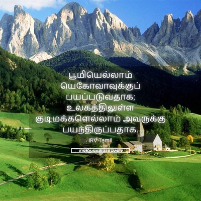 Picture 05 - சங்கீதங்கள் 33:8 TAMIRV - பூமியெல்லாம் - Bible Verse Picture