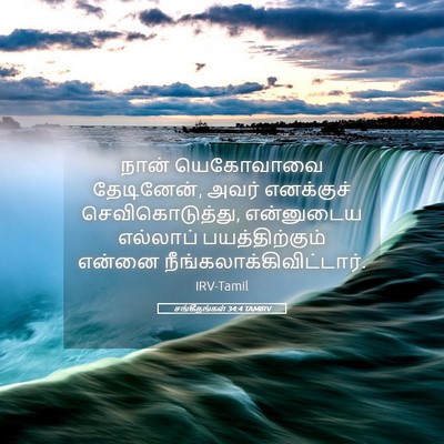 Picture 05 - சங்கீதங்கள் 34:4 TAMIRV - நான் யெகோவாவை - Bible Verse Picture
