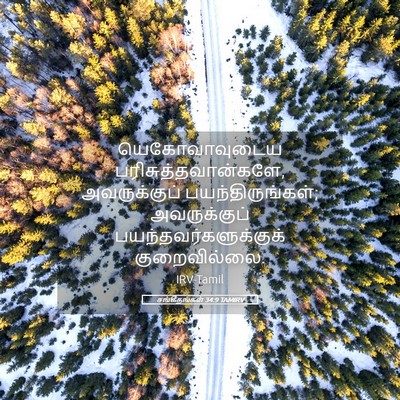 Picture 05 - சங்கீதங்கள் 34:9 TAMIRV - யெகோவாவுடைய - Bible Verse Picture