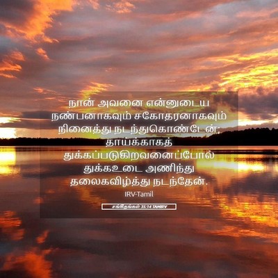 Picture 05 - சங்கீதங்கள் 35:14 TAMIRV - நான் அவனை - Bible Verse Picture