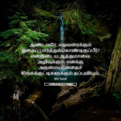 Picture 05 - சங்கீதங்கள் 35:17 TAMIRV - ஆண்டவரே, - Bible Verse Picture