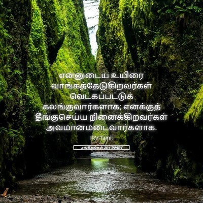 Picture 05 - சங்கீதங்கள் 35:4 TAMIRV - என்னுடைய உயிரை - Bible Verse Picture
