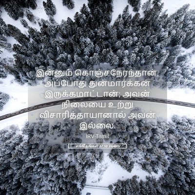 Picture 05 - சங்கீதங்கள் 37:10 TAMIRV - இன்னும் - Bible Verse Picture