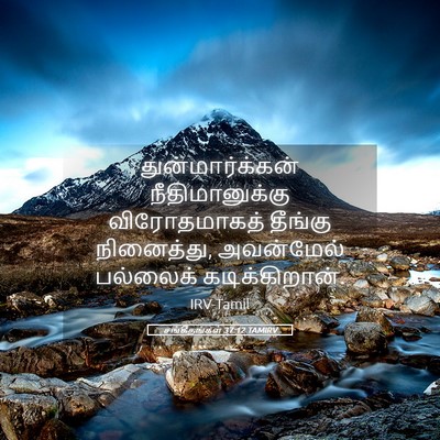 Picture 05 - சங்கீதங்கள் 37:12 TAMIRV - துன்மார்க்கன் - Bible Verse Picture