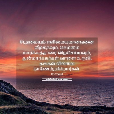 Picture 05 - சங்கீதங்கள் 37:14 TAMIRV - சிறுமையும் - Bible Verse Picture