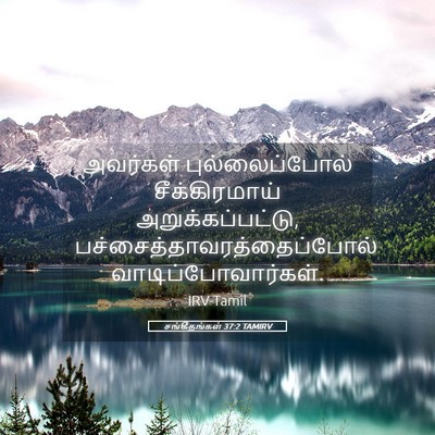 Picture 05 - சங்கீதங்கள் 37:2 TAMIRV - அவர்கள் - Bible Verse Picture