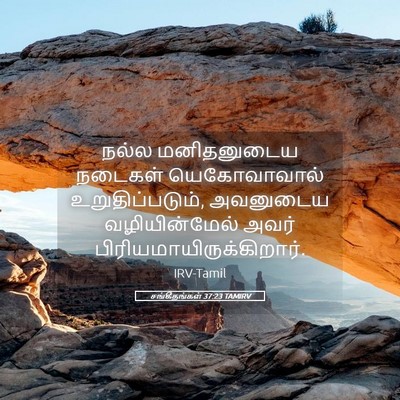 Picture 05 - சங்கீதங்கள் 37:23 TAMIRV - நல்ல மனிதனுடைய - Bible Verse Picture