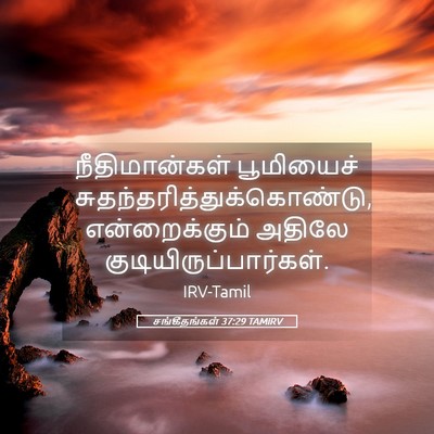 Picture 05 - சங்கீதங்கள் 37:29 TAMIRV - நீதிமான்கள் - Bible Verse Picture