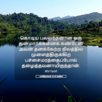 Picture 05 - சங்கீதங்கள் 37:35 TAMIRV - கொடிய பலவந்தனான - Bible Verse Picture