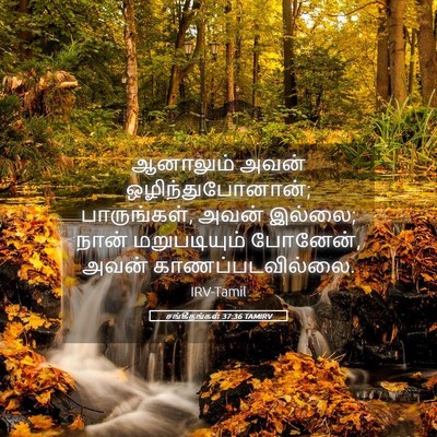 Picture 05 - சங்கீதங்கள் 37:36 TAMIRV - ஆனாலும் அவன் - Bible Verse Picture