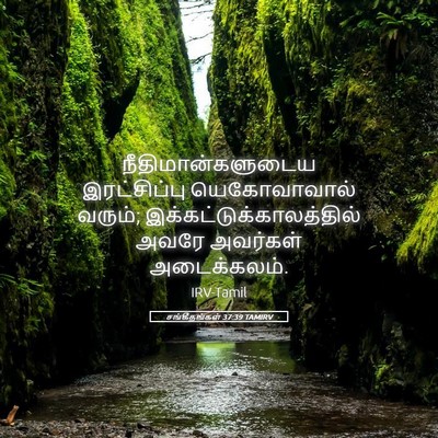 Picture 05 - சங்கீதங்கள் 37:39 TAMIRV - நீதிமான்களுடைய - Bible Verse Picture