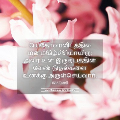 Picture 05 - சங்கீதங்கள் 37:4 TAMIRV - யெகோவாவிடத்தில் - Bible Verse Picture