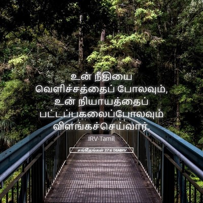 Picture 05 - சங்கீதங்கள் 37:6 TAMIRV - உன் நீதியை - Bible Verse Picture